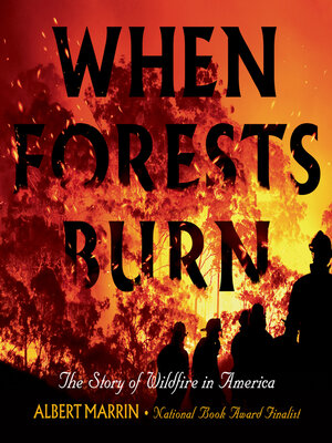 cover image of When Forests Burn
